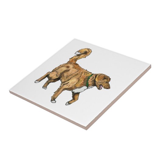 Tollerのタイル タイル (側面)