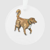 Tollerの円形のオーナメント オーナメント (正面)