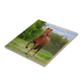 Töltのおもしろいな写真の馬好きのアイスランドの子馬 タイル (側面)