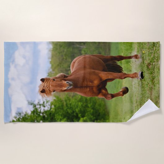 Töltのおもしろいな写真の馬好きのアイスランドの子馬 ビーチタオル (正面)