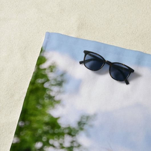 Töltのおもしろいな写真の馬好きのアイスランドの子馬 ビーチタオル (インサイチュ)