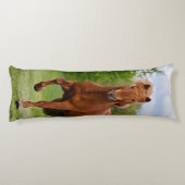 Töltのおもしろいな写真の馬好きのアイスランドの子馬 ボディピロー (裏面)