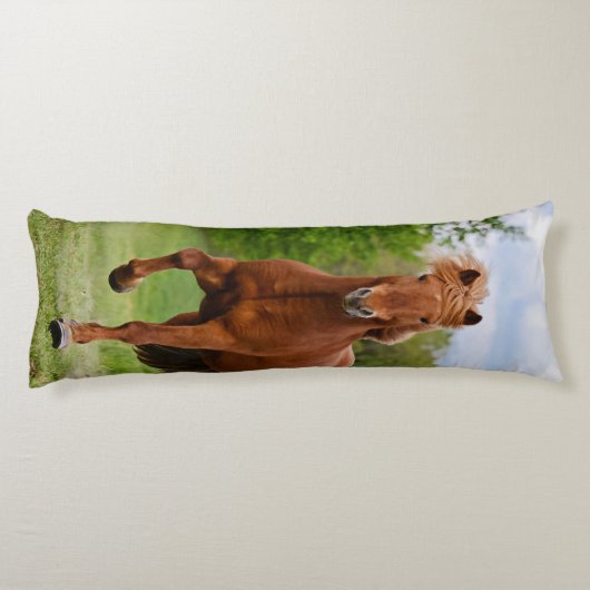 Töltのおもしろいな写真の馬好きのアイスランドの子馬 ボディピロー (裏面)