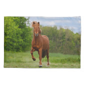 Töltのおもしろいな写真の馬好きのアイスランドの子馬 枕カバー (裏面)