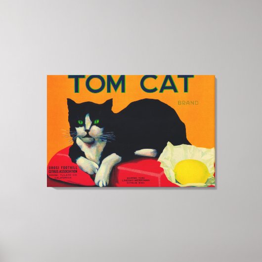 Tom Cat Lemon LabelOrosi（カリフォルニア州） キャンバスプリント (正面)