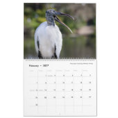 Tom Spineによる鳥の写真, 2020年カレンダー カレンダー (2月 2027)