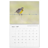 Tom Spineによる鳥の写真, 2020年カレンダー カレンダー (3月 2027)