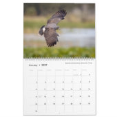 Tom Spineによる鳥の写真, 2020年カレンダー カレンダー (1月 2027)