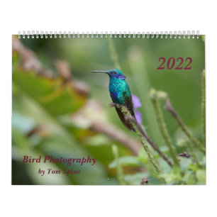 Tom Spineによる鳥の写真、2022年 カレンダー