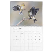 Tom Spineによる鳥の写真 – 2024 カレンダー (2月 2027)