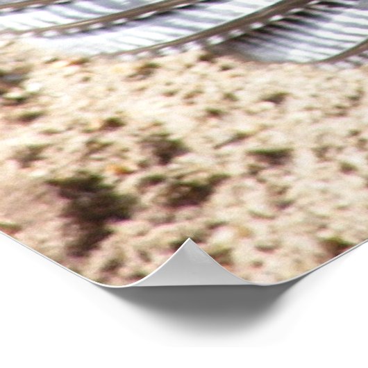 Tom Turkey 1ポスター ポスター (角)