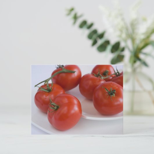 tomates_1 ポストカード (スタンド正面)