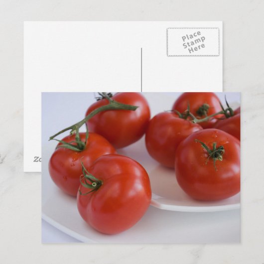tomates_1 ポストカード (正面/裏面)