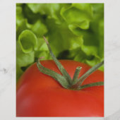 Tomato チラシ (正面)