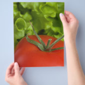 Tomato チラシ (手)