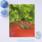 Tomato チラシ (シングル)