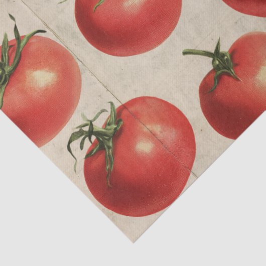 Tomato 薄葉紙 (詳細)