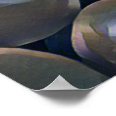 TOMATOES   ポスター (角)