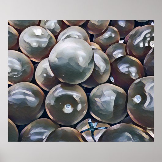 TOMATOES   ポスター (正面)