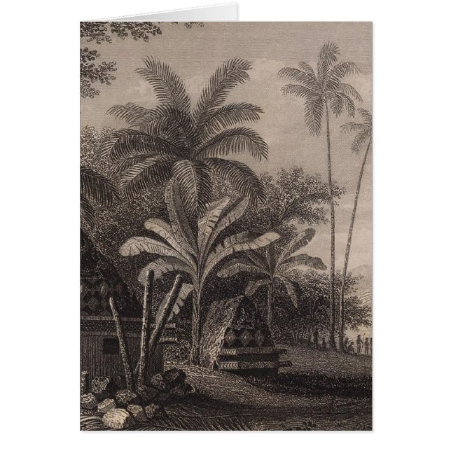 Tomes, Mutuata, Fiji (正面)