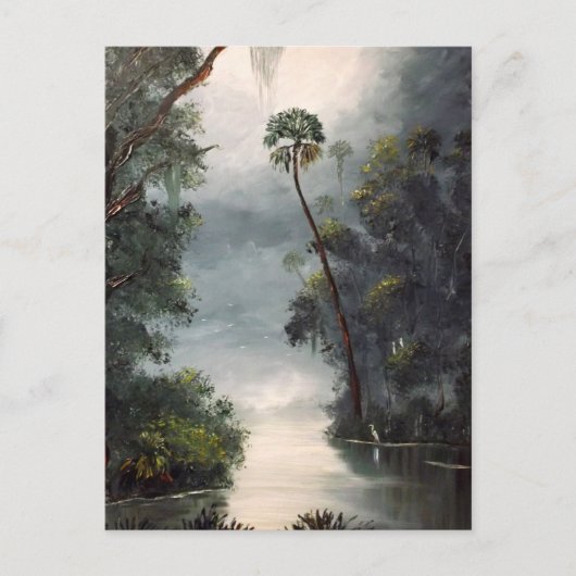 Tomokaの川フロリダ ポストカード (正面)