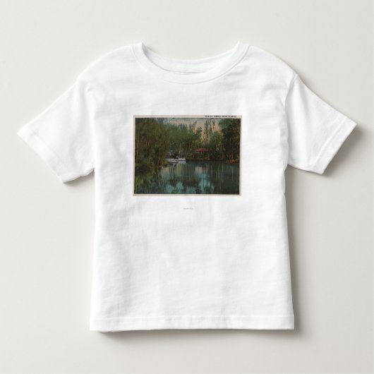 Tomokaの川及び沼地、フロリダの水眺め トドラーTシャツ (正面)