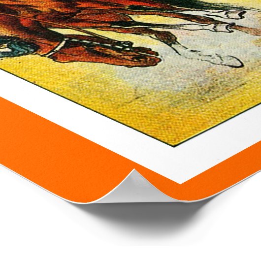 Tompkins' WILD WEST – ポスター (角)