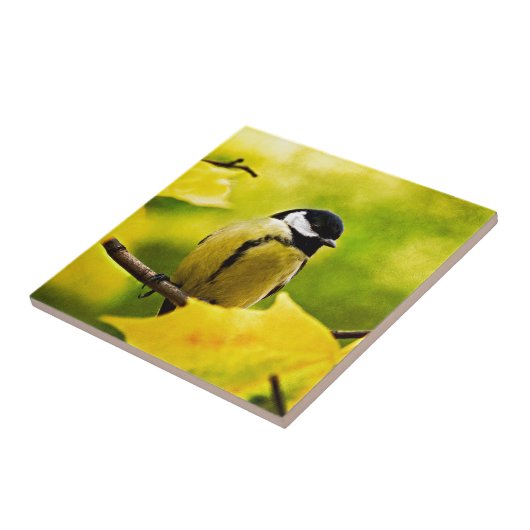 Tomtit – 季節に合わせて身に着ける タイル (側面)