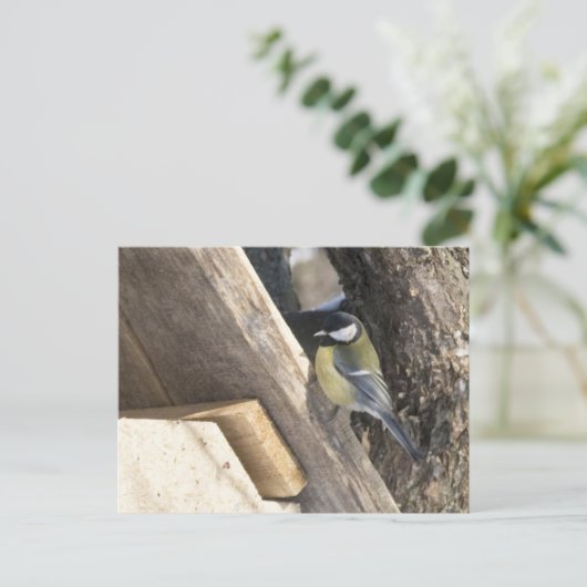 tomtit_1 ポストカード (スタンド正面)