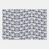 Tonkinson Daisies Galore Tissue Gift Wrap Inpakpap ラッピングペーパーシート (正面3)