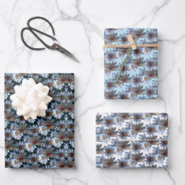 Tonkinson Daisies Galore Tissue Gift Wrap Inpakpap ラッピングペーパーシート