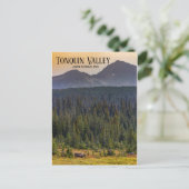 Tonquin Valley, Jasper NP Caribou Postcard ポストカード (スタンド正面)