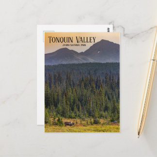 Tonquin Valley, Jasper NP Caribou Postcard ポストカード