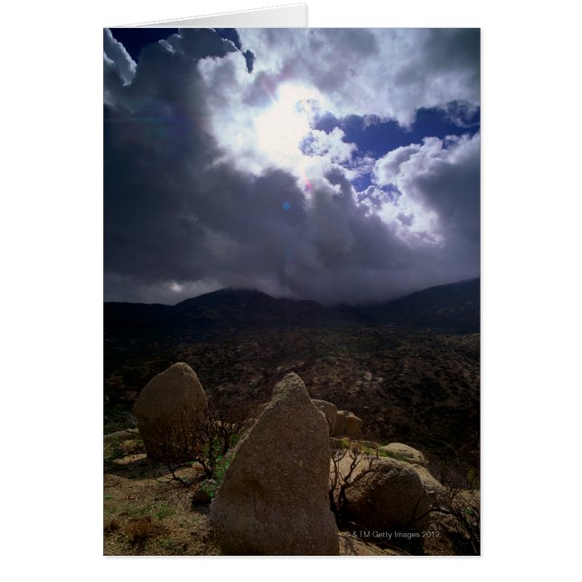 Tontoの国有林、アリゾナ、米国 (正面)