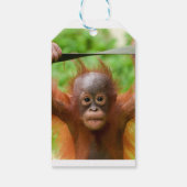 Too Cute to Handle – Little Orangutan ギフトタグ (裏面)