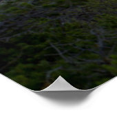 Tooth Of Time、Philmont Scout Ranch、Cimarron ポスター (角)