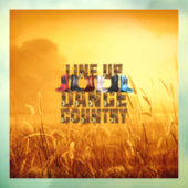 TOPラインダンスカントリーウィンドウがしがみつく ウィンドウサイン (シート3)