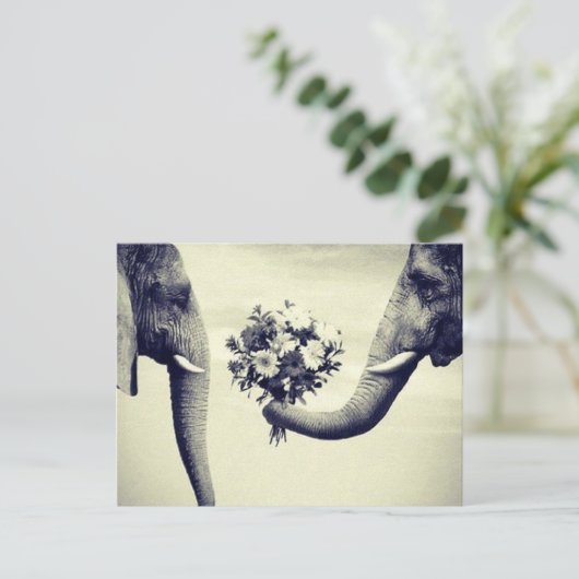 Top ポストカード (スタンド正面)