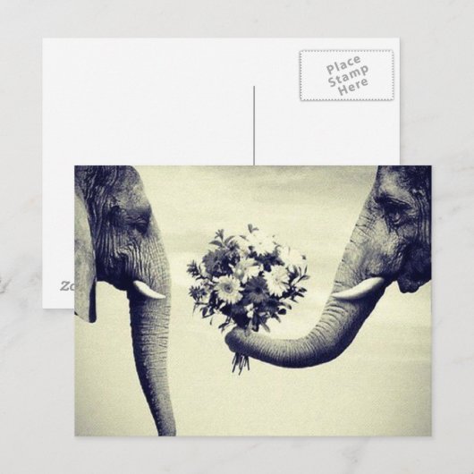 Top ポストカード (正面/裏面)