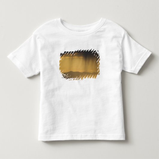 Top of トドラーTシャツ (正面)