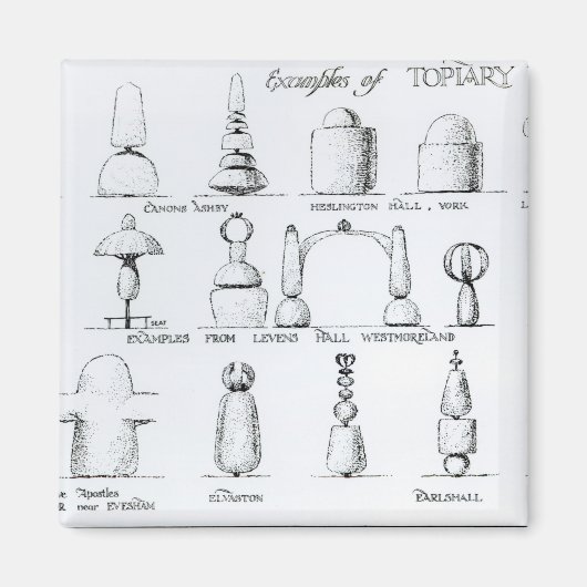 Topiary Workの例， 1902 (版木、銅版、版画) (b/w ph マグネット (正面)