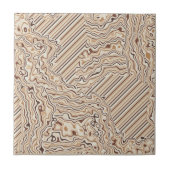 Topographic Warm Neutrals Ceramic Tile タイル (正面)