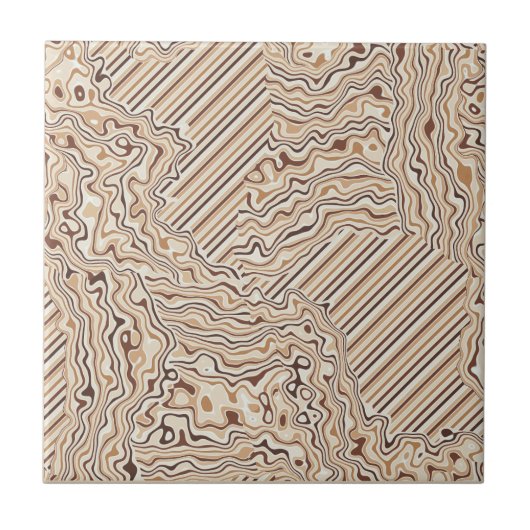 Topographic Warm Neutrals Ceramic Tile タイル (正面)