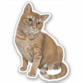 Topspinシール シール (正面)