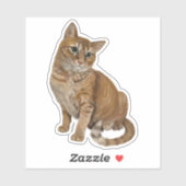 Topspinシール シール (シート)