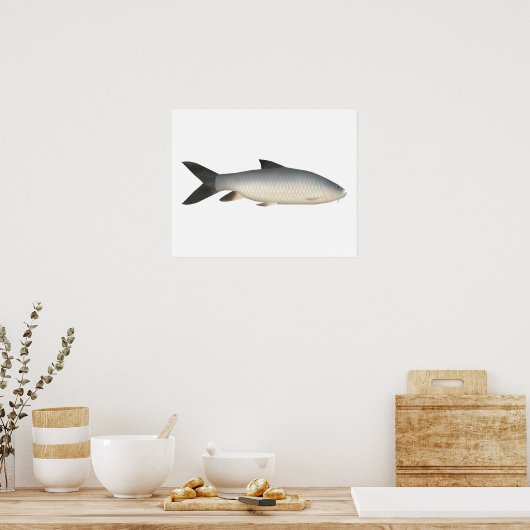 Tor Mahseer ポスター (キッチン)