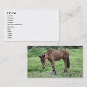 Toraille1、 名刺 (正面/裏面)