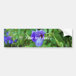 Torenia バンパーステッカー