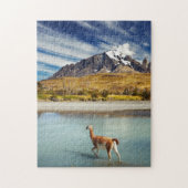 Torres del Paineの川を交差させているグアナコ ジグソーパズル (縦)