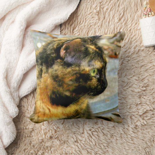 Tortie猫のMojoの少し枕 クッション (ブランケット)